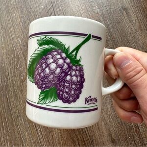 Knott's Berry Farm Boysenberry Coffee Cup Mug Purple Berry China